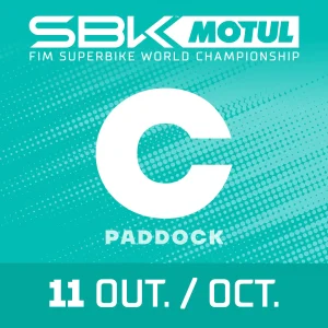 PADDOCK+C - 11 OUT