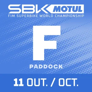 PADDOCK+F - 11 OUT